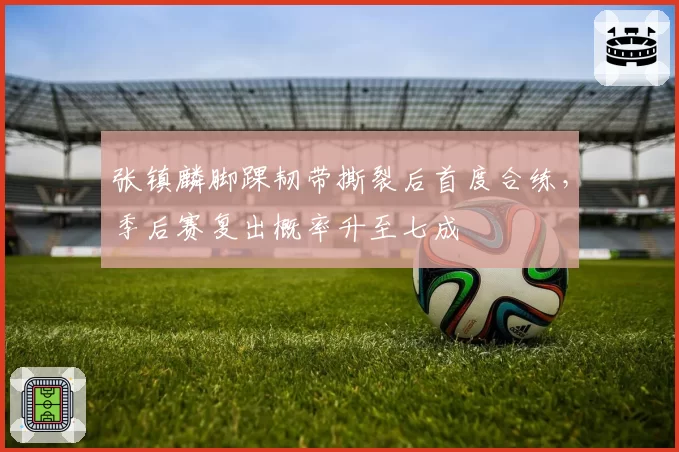 张镇麟脚踝韧带撕裂后首度合练，季后赛复出概率升至七成