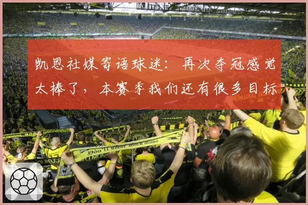 凯恩社媒寄语球迷：再次夺冠感觉太棒了，本赛季我们还有很多目标